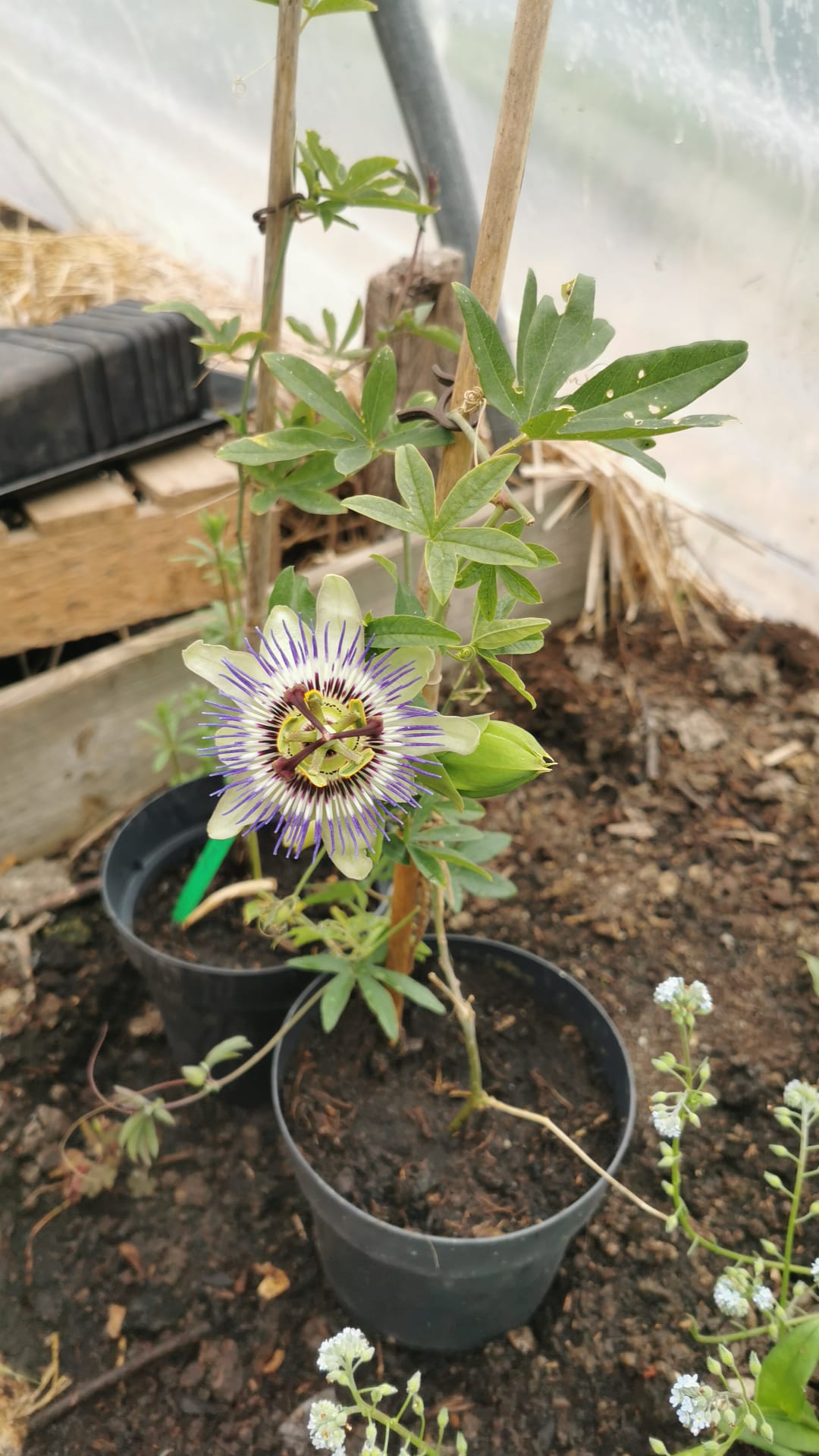 WhatsApp Image 2023-05-15 at 18.36.47