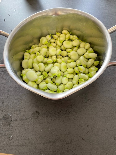 Image-1 (2)